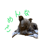 loa’s stamp（個別スタンプ：8）