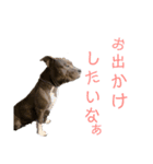 loa’s stamp（個別スタンプ：13）