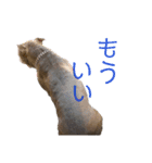 loa’s stamp（個別スタンプ：14）