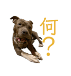 loa’s stamp（個別スタンプ：15）