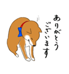 あざとかわいい柴犬のこたろうの日常（個別スタンプ：5）