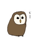 幸せふくろうの日常（個別スタンプ：1）