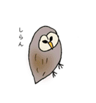 幸せふくろうの日常（個別スタンプ：14）