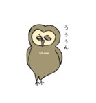 幸せふくろうの日常（個別スタンプ：26）