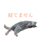 龍くん2nd（個別スタンプ：3）