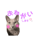 龍くん2nd（個別スタンプ：7）