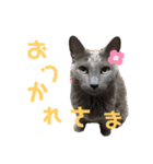 龍くん2nd（個別スタンプ：9）