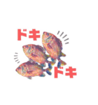 多分、魚？part2.（個別スタンプ：11）