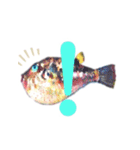多分、魚？part2.（個別スタンプ：13）