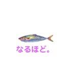 多分、魚？part2.（個別スタンプ：16）