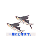 多分、魚？part2.（個別スタンプ：17）