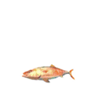 多分、魚？part2.（個別スタンプ：32）