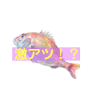 多分、魚？part2.（個別スタンプ：33）