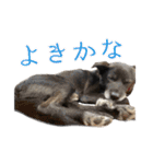 かんぱちとゆき（個別スタンプ：5）