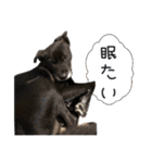 かんぱちとゆき（個別スタンプ：7）