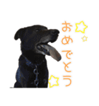 かんぱちとゆき（個別スタンプ：10）