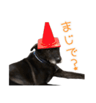かんぱちとゆき（個別スタンプ：12）