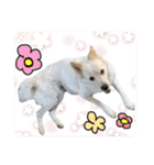 かんぱちとゆき（個別スタンプ：21）