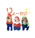 エイトjackミミ（個別スタンプ：17）