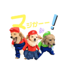 エイトjackミミ（個別スタンプ：18）