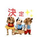 エイトjackミミ（個別スタンプ：21）