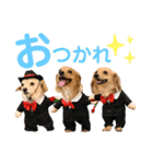 エイトjackミミ（個別スタンプ：22）