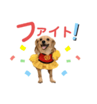 エイトjackミミ（個別スタンプ：24）