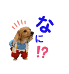 エイトjackミミ（個別スタンプ：25）