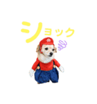 エイトjackミミ（個別スタンプ：26）