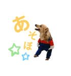 エイトjackミミ（個別スタンプ：27）