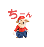 エイトjackミミ（個別スタンプ：28）