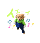 エイトjackミミ（個別スタンプ：29）