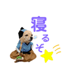 エイトjackミミ（個別スタンプ：32）
