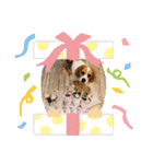 Shin's Studio（個別スタンプ：6）