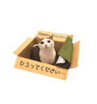 猫 マンチカン Ⅴ（個別スタンプ：16）