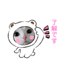 猫 マンチカン Ⅴ（個別スタンプ：21）