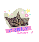 アオとモモ2（個別スタンプ：16）