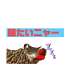 おこめちゃんパート2（個別スタンプ：1）