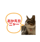 おこめちゃんパート2（個別スタンプ：2）