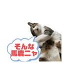 おこめちゃんパート2（個別スタンプ：3）