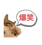 おこめちゃんパート2（個別スタンプ：6）