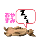 おこめちゃんパート2（個別スタンプ：8）