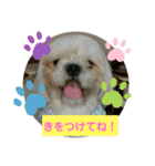れん＆きく ワンワン2（個別スタンプ：9）