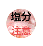 すうすうすたんぷす（個別スタンプ：3）