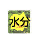 すうすうすたんぷす（個別スタンプ：6）