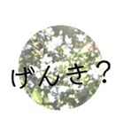 すうすうすたんぷす（個別スタンプ：20）
