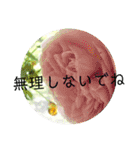 すうすうすたんぷす（個別スタンプ：22）