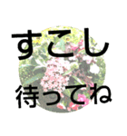 すうすうすたんぷす（個別スタンプ：29）