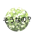 すうすうすたんぷす（個別スタンプ：35）