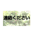 すうすうすたんぷす（個別スタンプ：37）